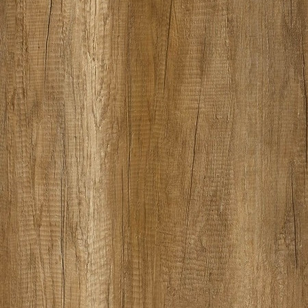 Old wood (M6156)